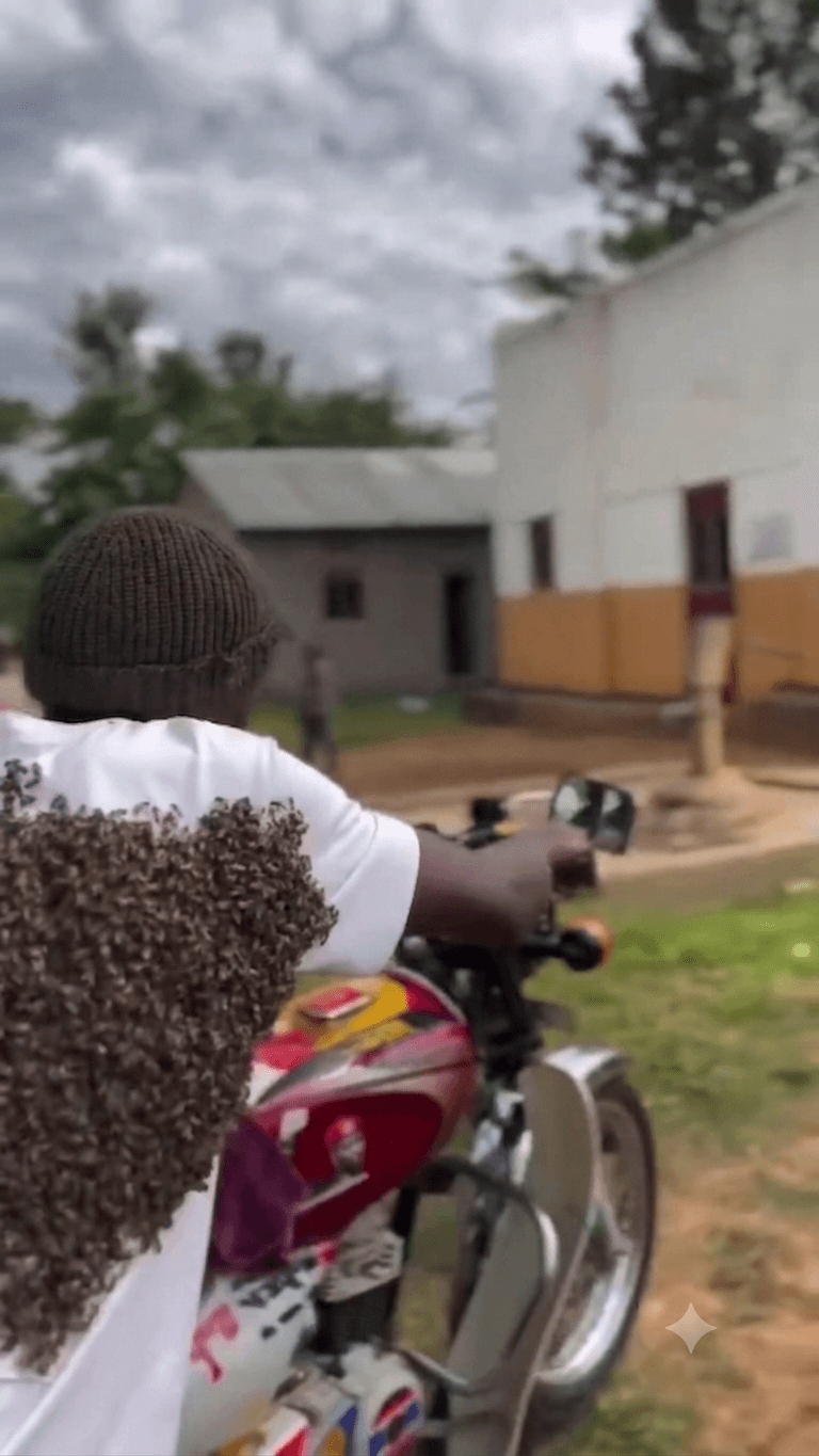 Watch: Bees Hunt Down Alleged Motorcycle Thief, Force Him to Return Stolen Bike in Uganda